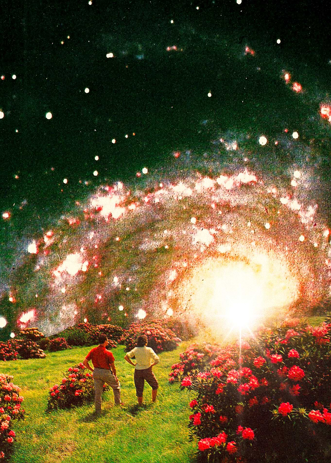 Looking Towards The Future