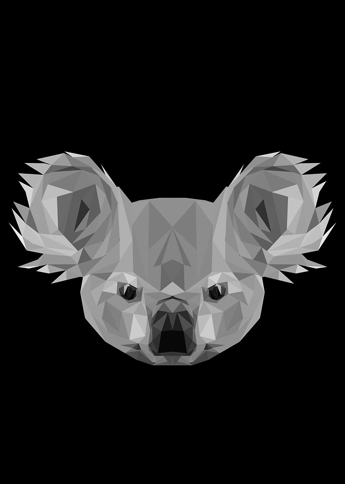 koala
