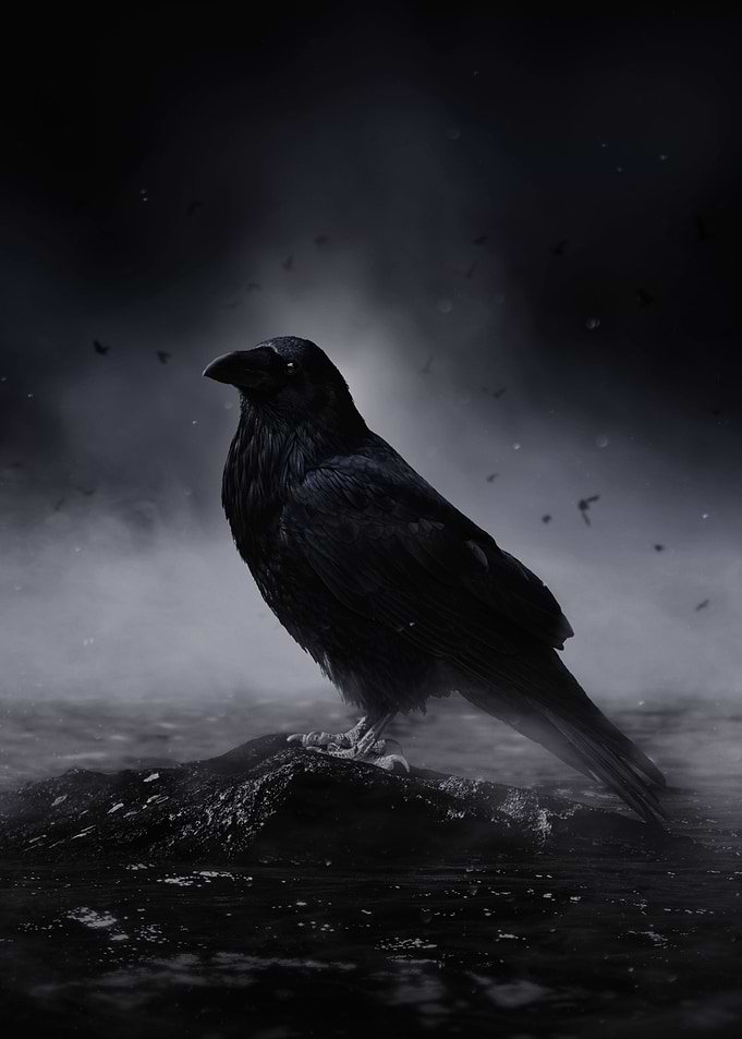 Raven in the Fog