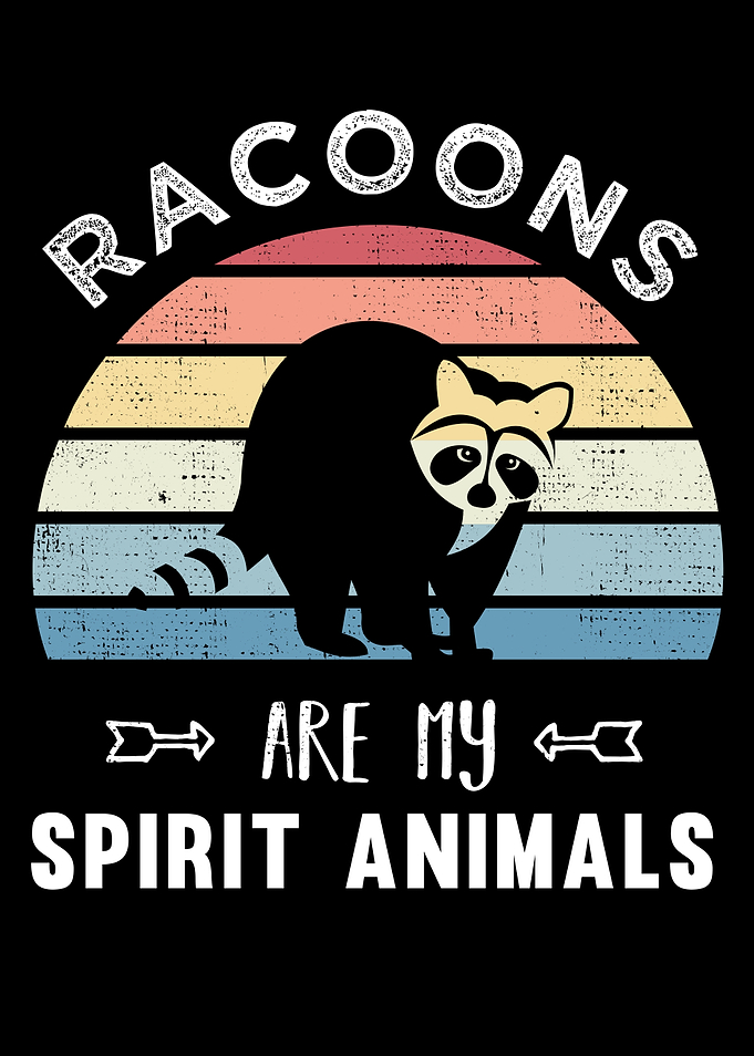 Cute Racoon Raccoons