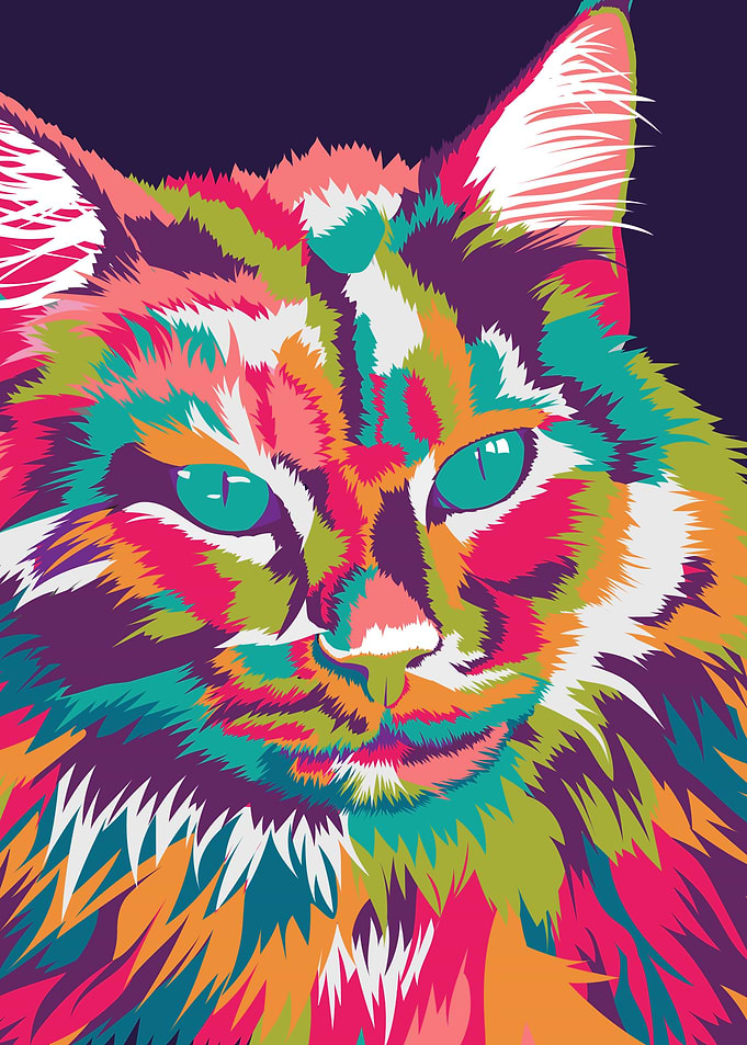 Cat in wpap