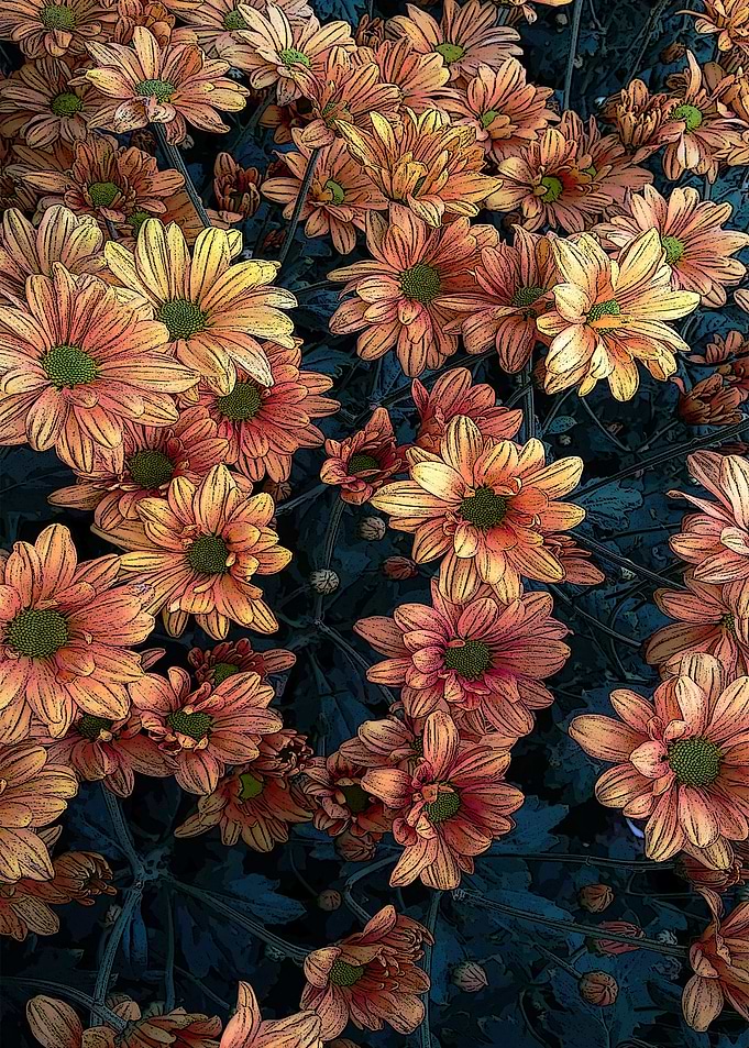 flowers
