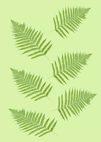 green leaf
