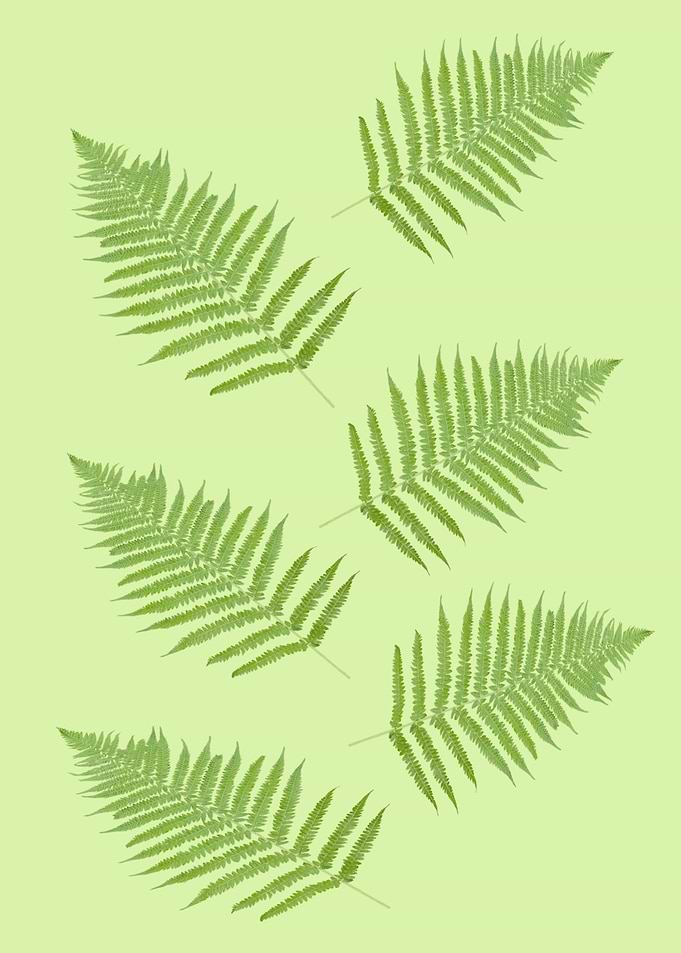 green leaf