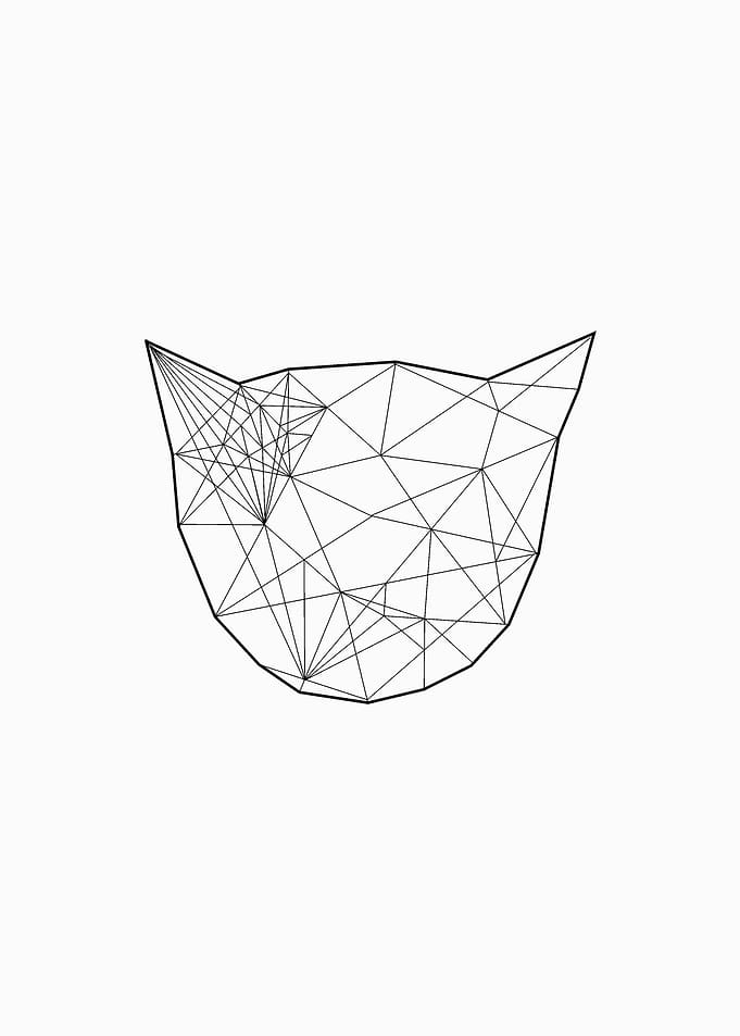 Geometric Cat