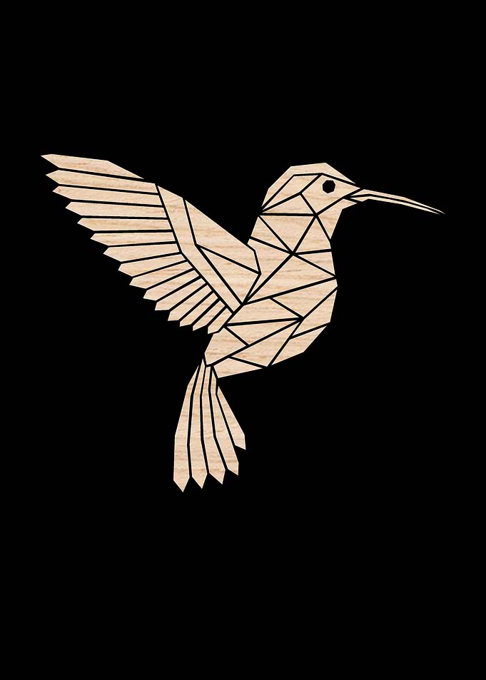Oak Hummingbird