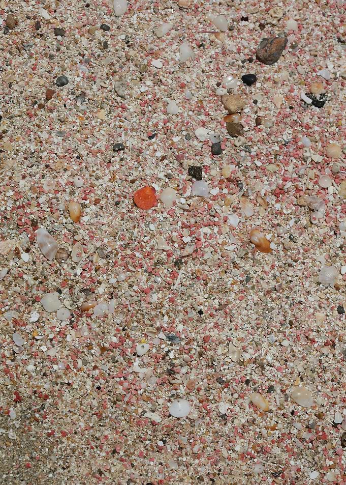 Red sand beach falassarna