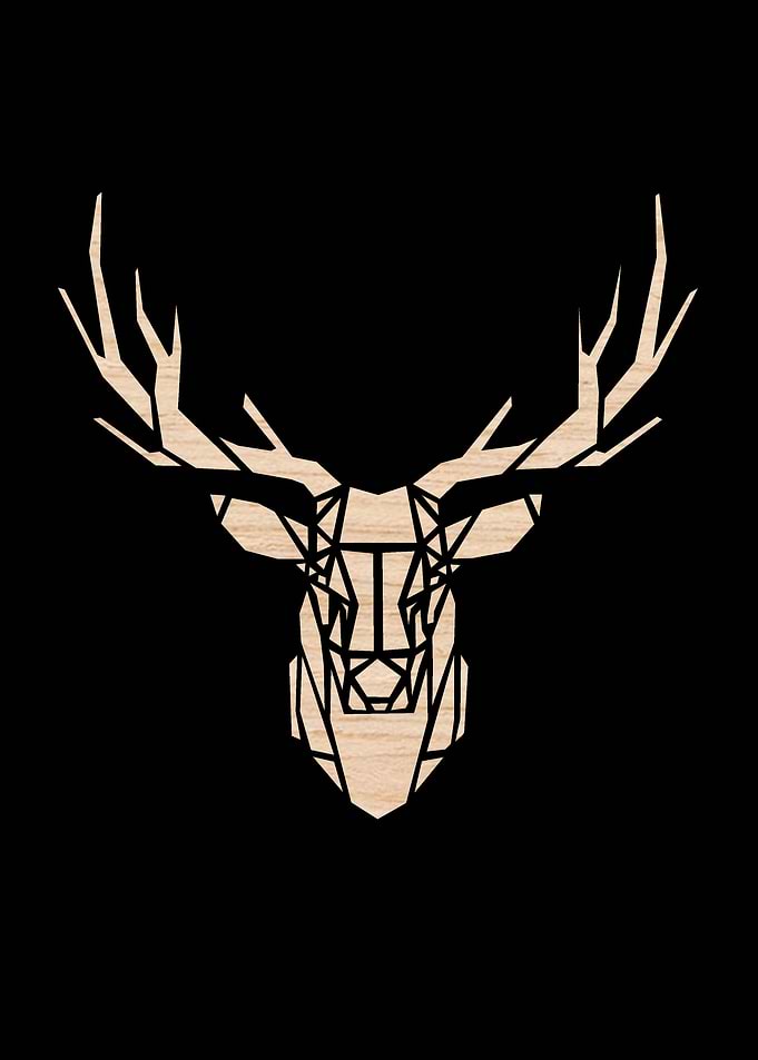Oak Deer