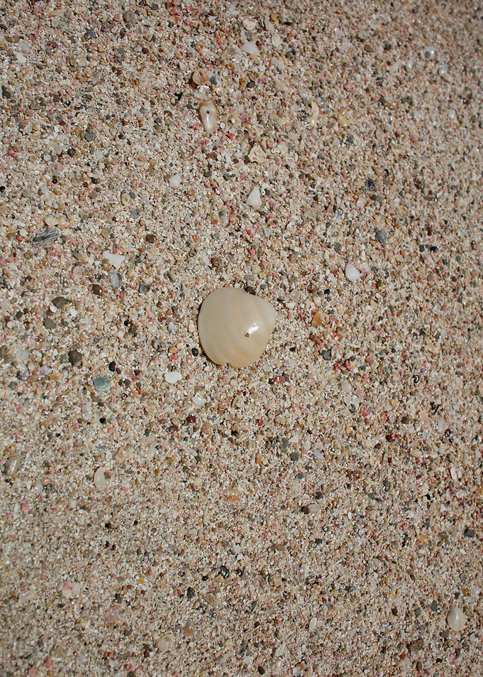 Red sand beach falassarna
