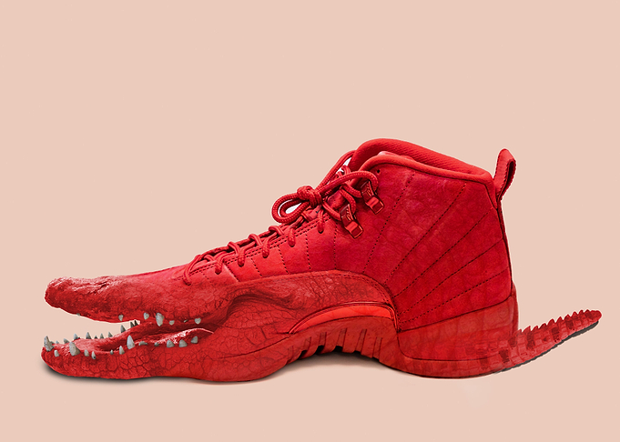 Crocodile Shoe