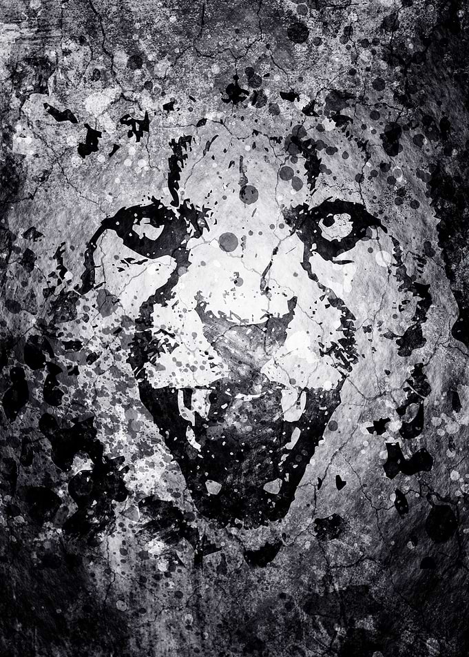 Cheetah Street Art Style