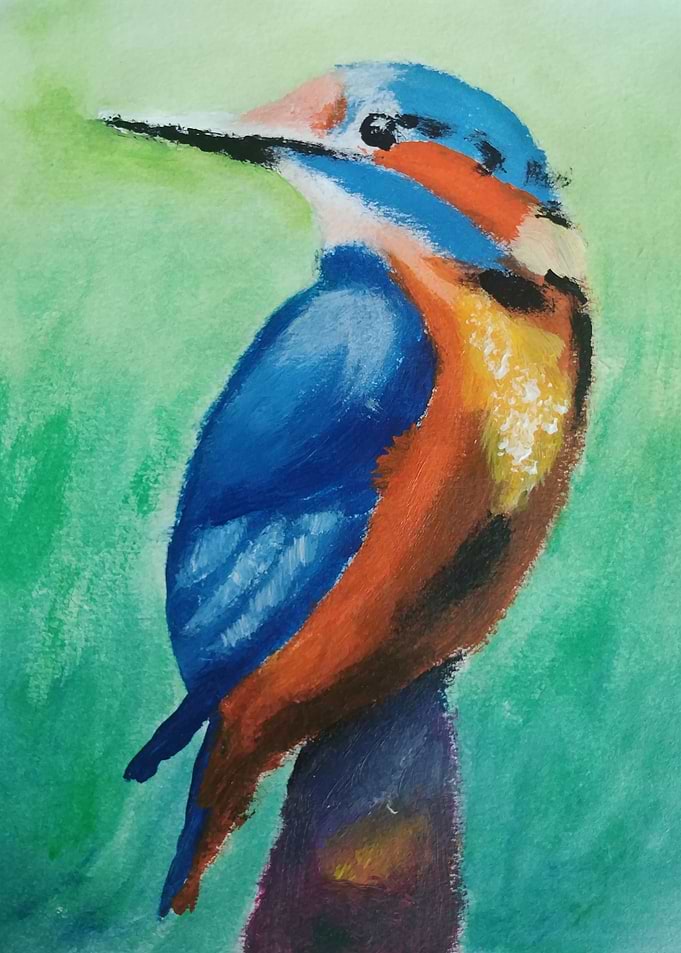 kingfisher