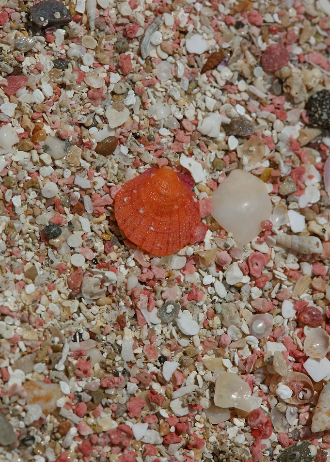 Red sand beach falassarna