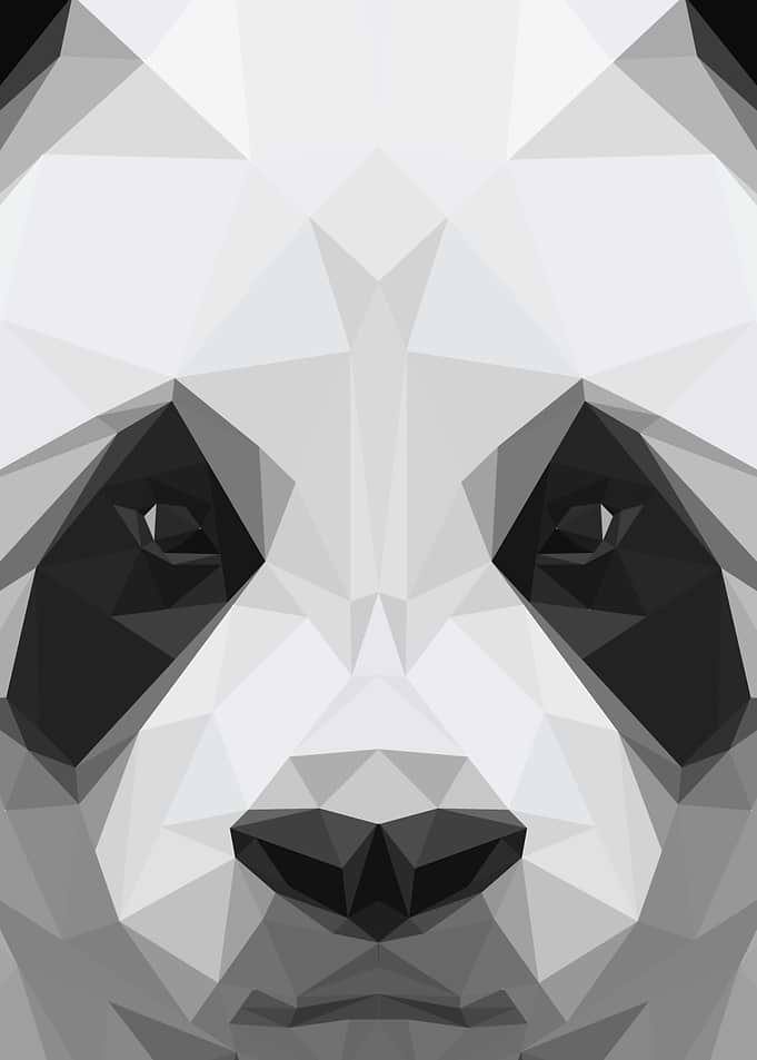panda