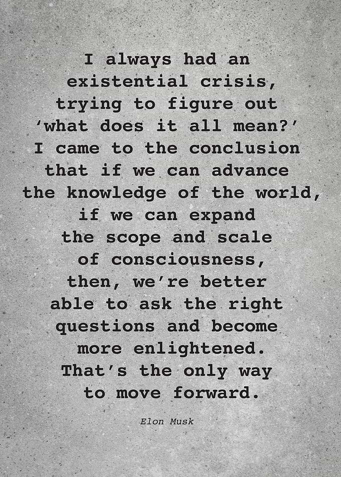 Elon Musk Quote L060
