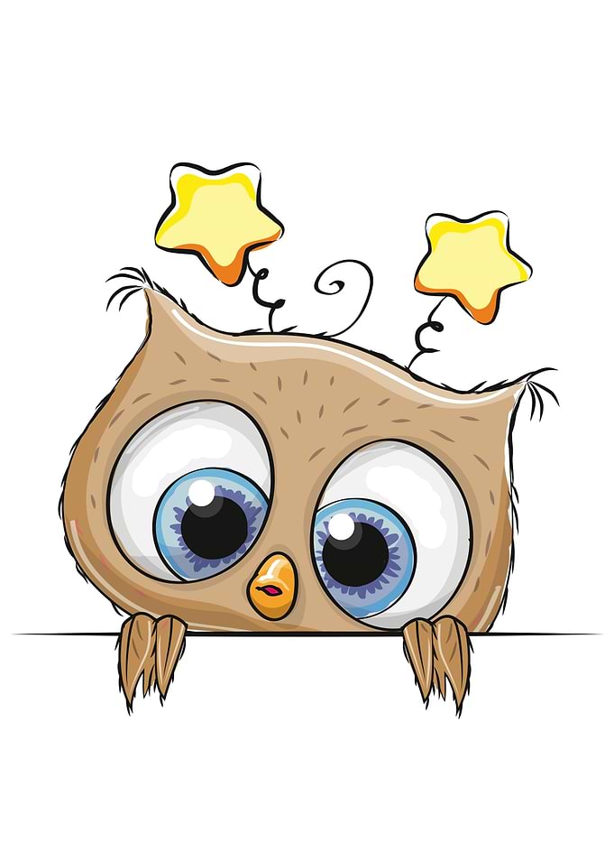 Starry Owl