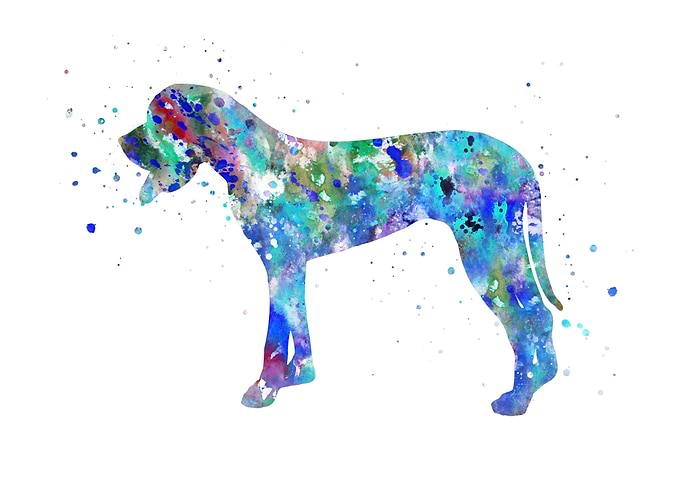 Great Dane