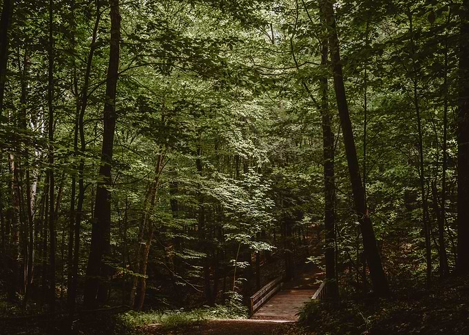 Just Breathe