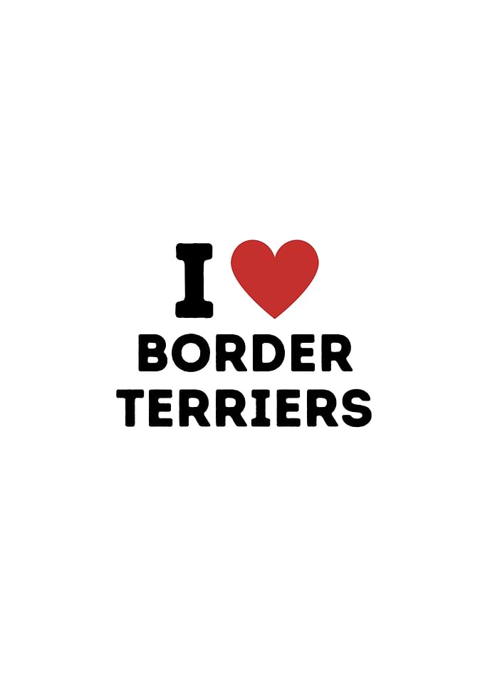 I Love Border Terriers