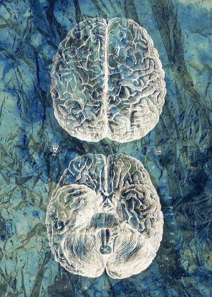 Brain Blue