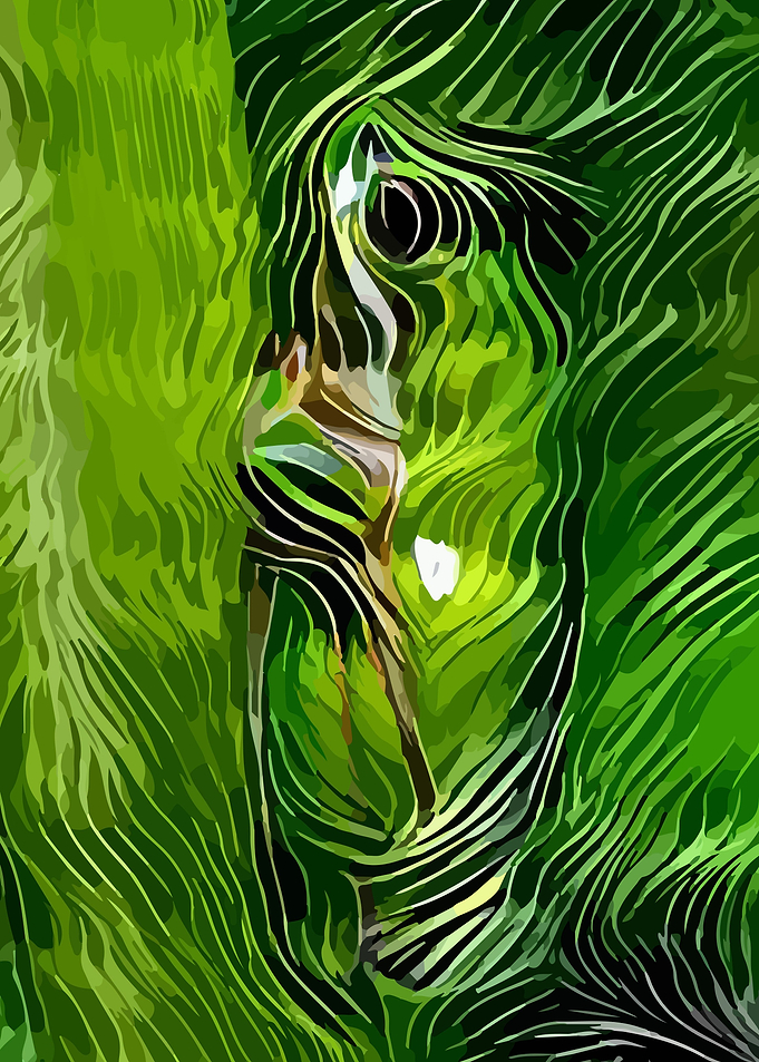 Frog