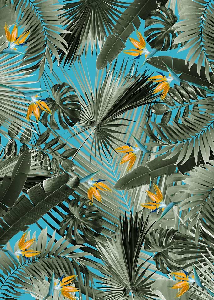 Bird of Paradise Jungle 4