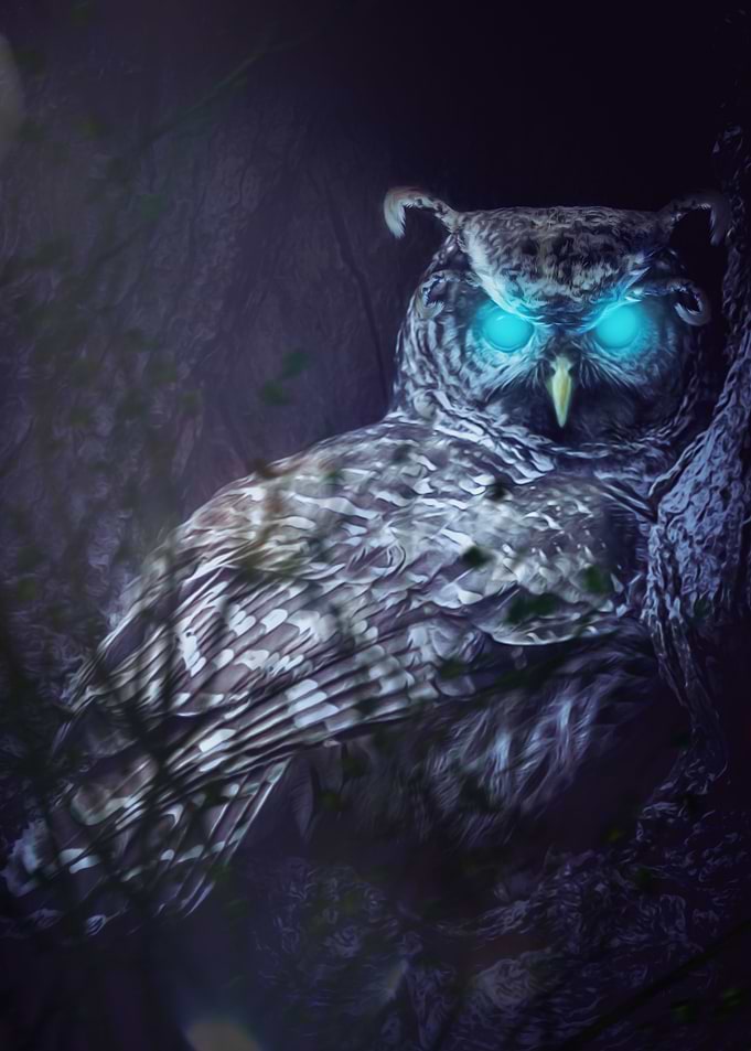 I see you