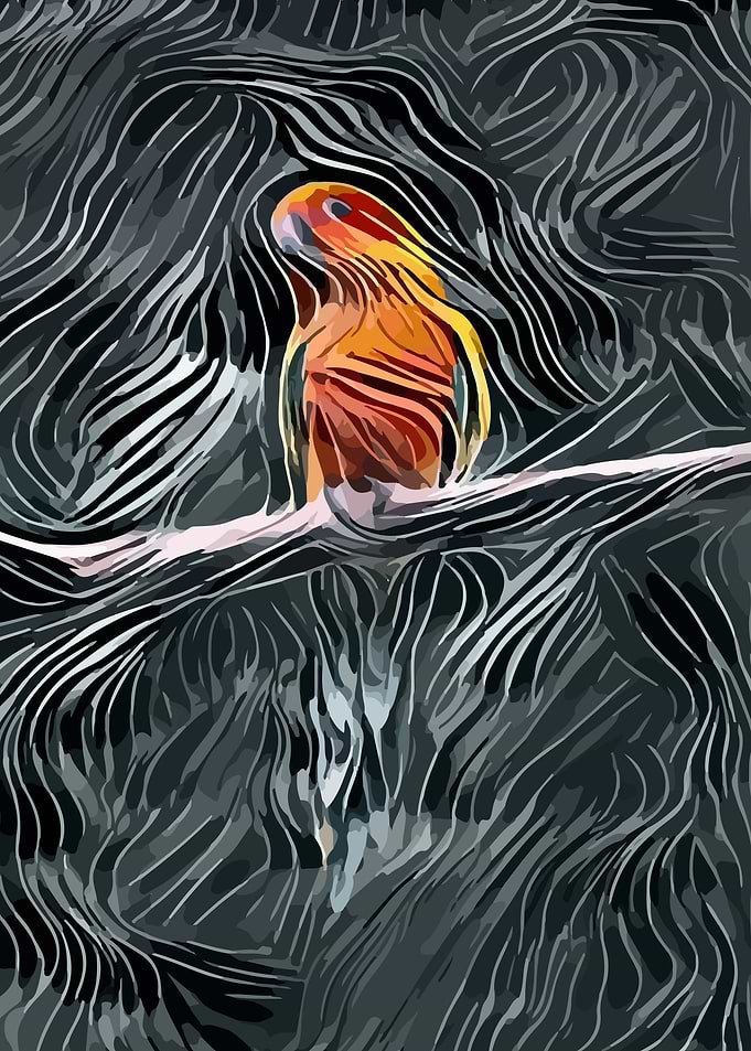 Parrot