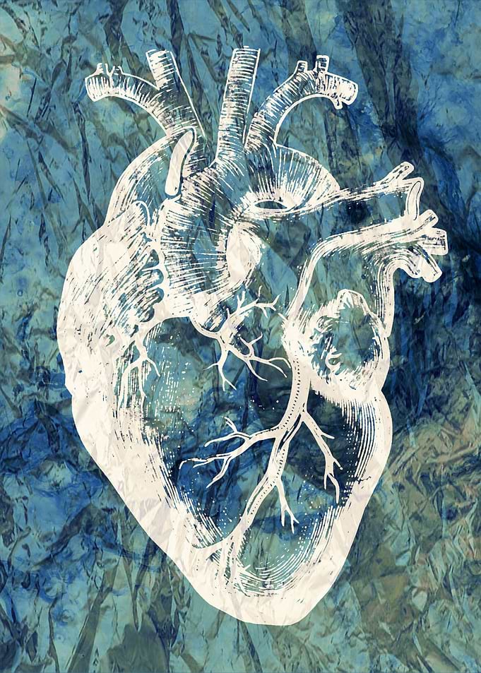 Heart Blue