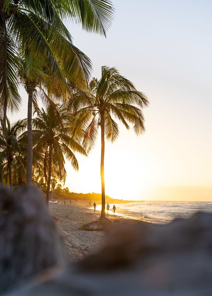 Incredible Sunset