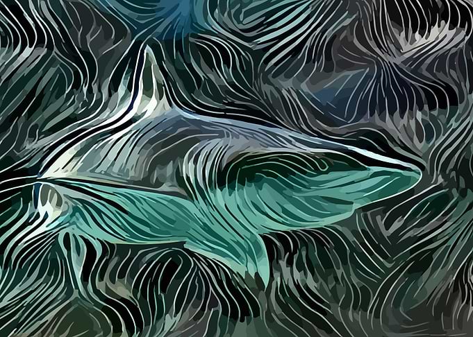 Shark