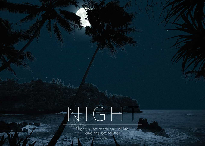 Palms over the night moon