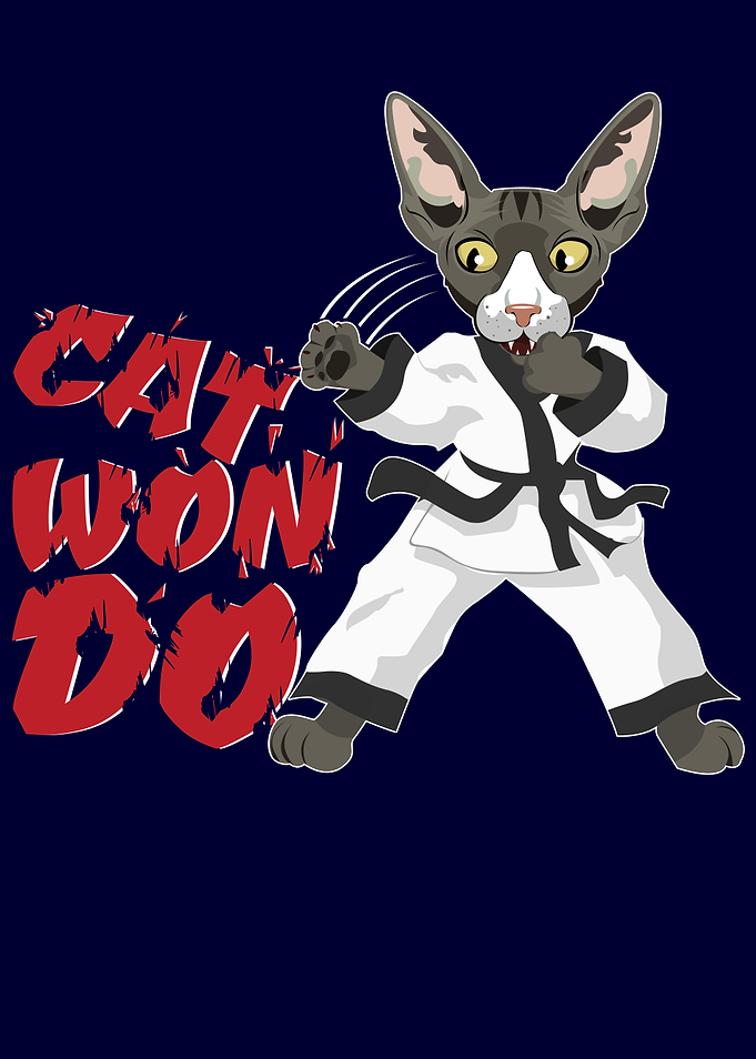 Cat Wont Do Cat