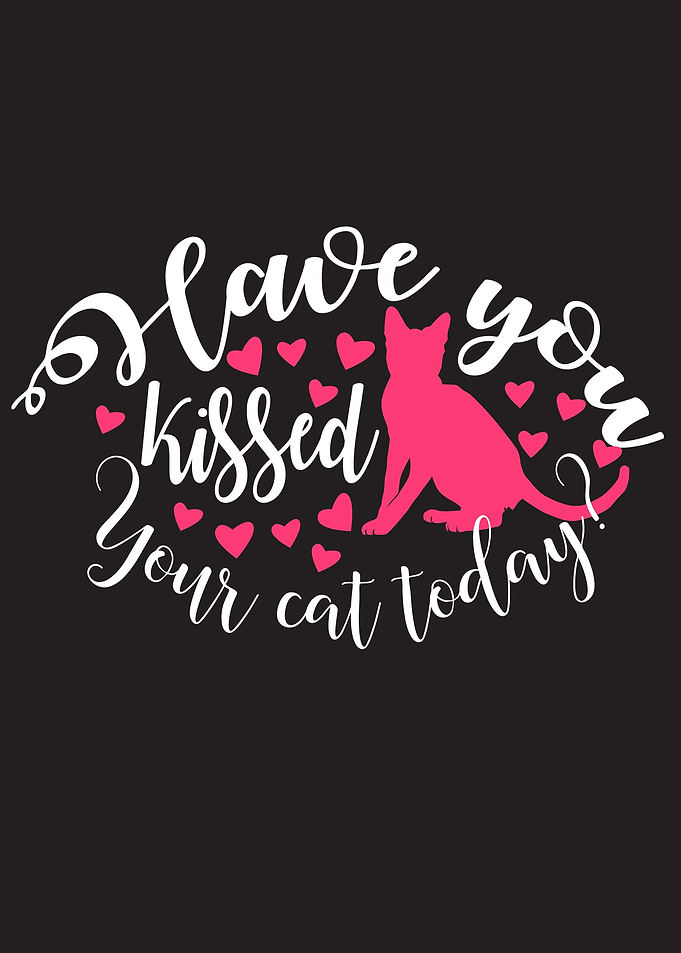 Kissed Cat