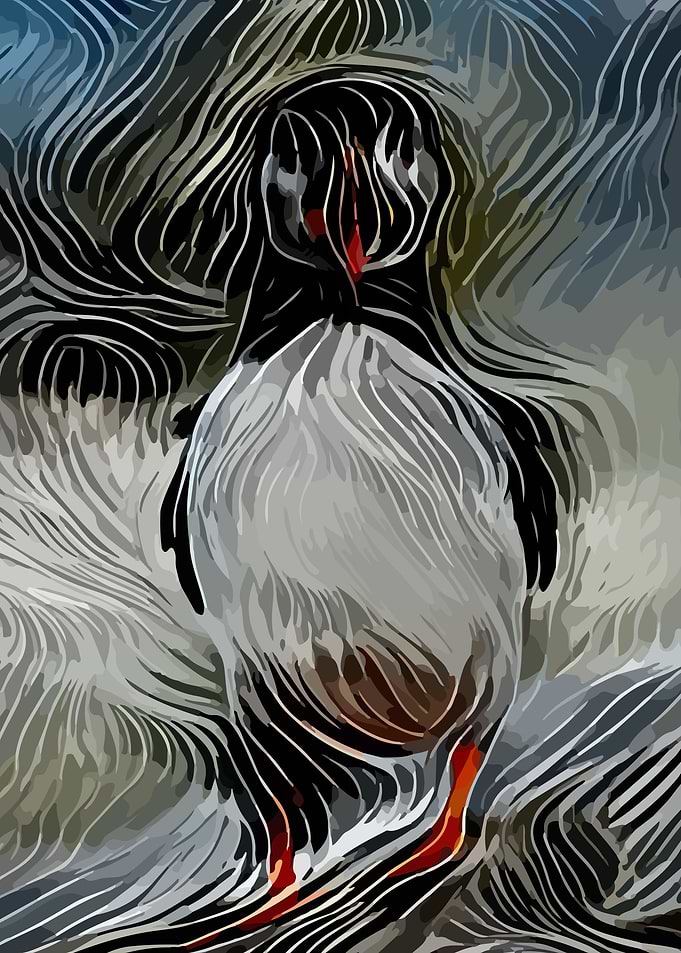 Puffin