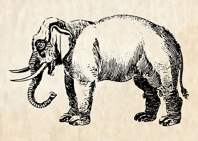 Vintage Elephant Left