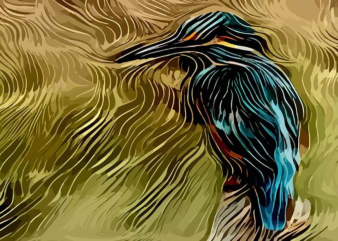 Kingfisher
