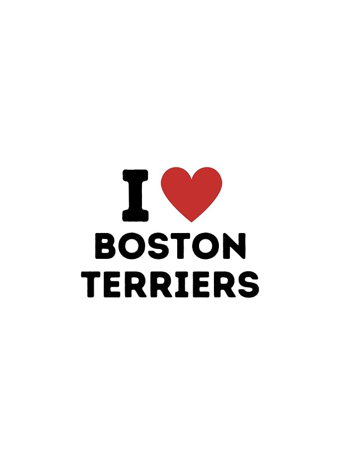 I Love Boston Terriers