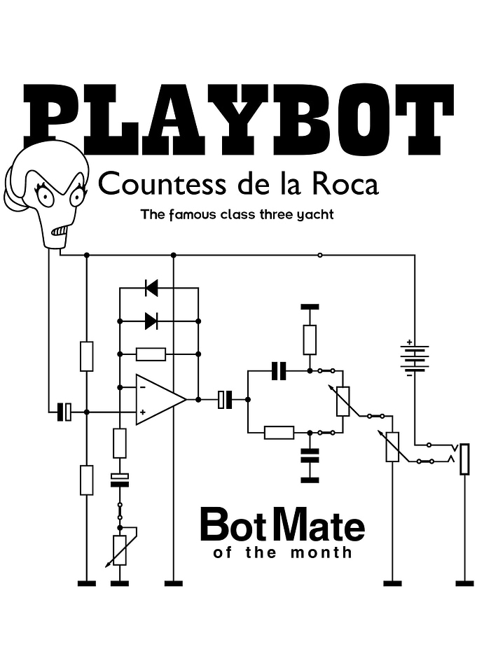 Botmate of the month