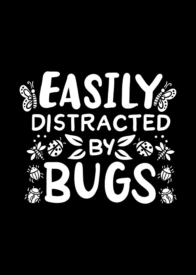 Bug Ladybug Insect Funny E