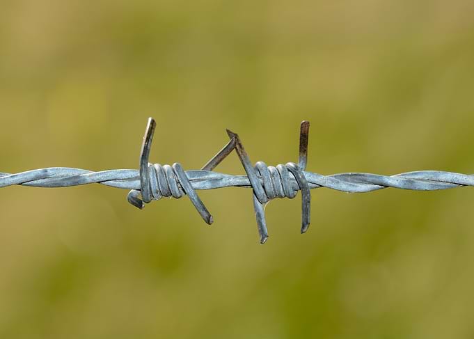 Barbed wire fence