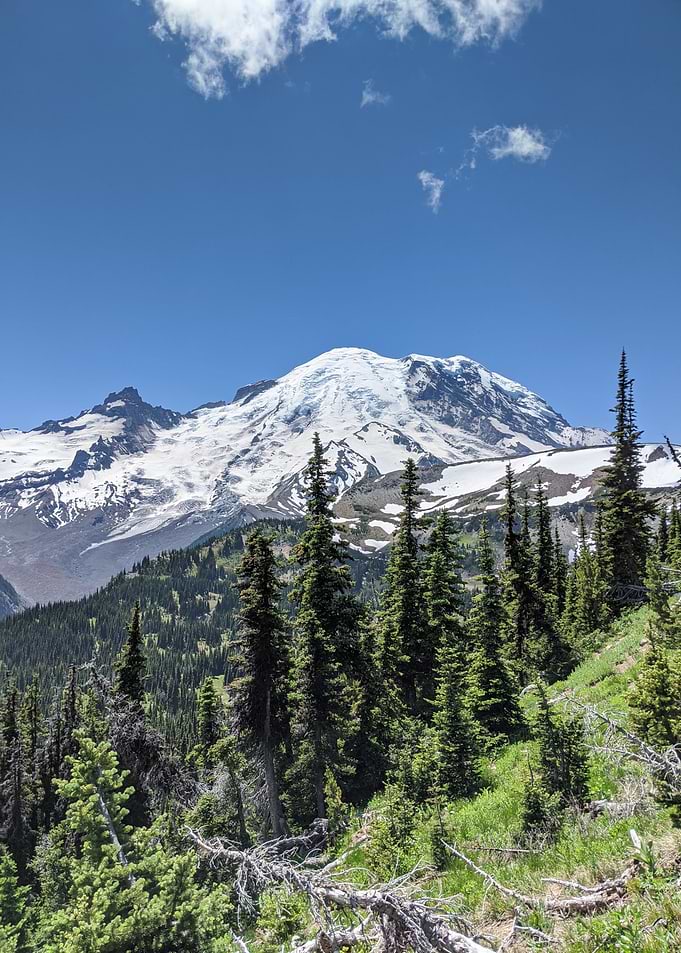Mt Rainier in the summer