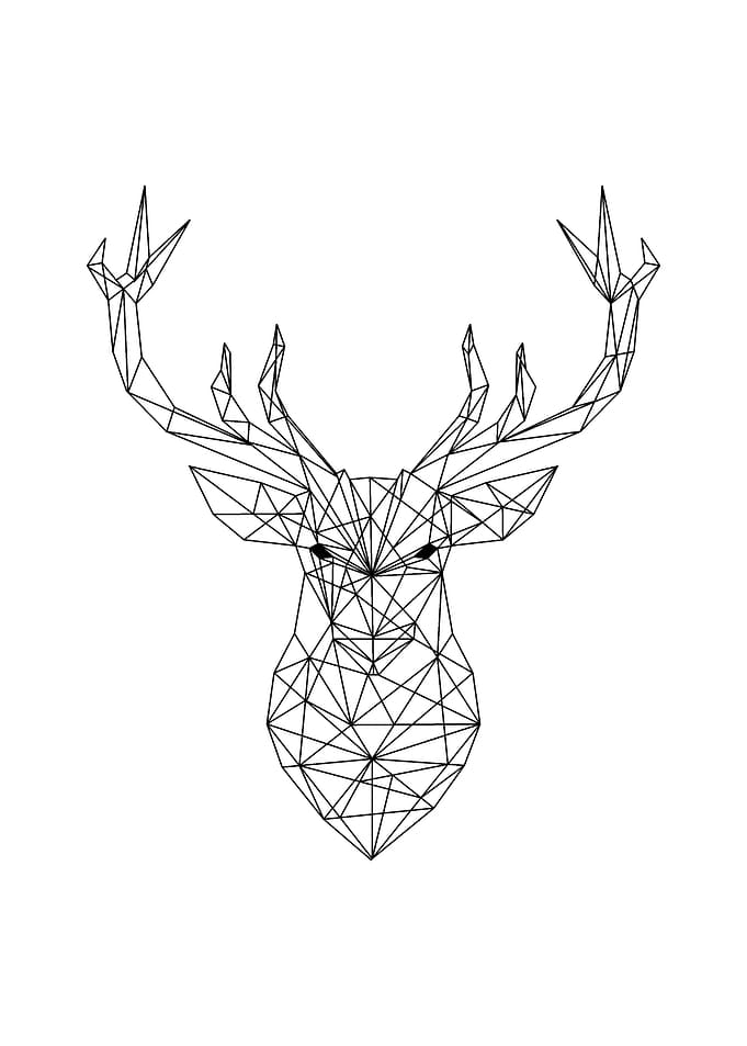 Geometric Deer