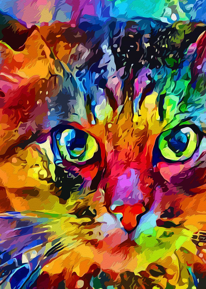 Colorful cat oil style