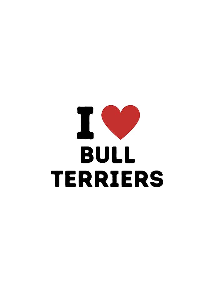 I Love Bull Terriers