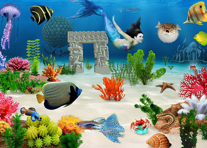 Sea bottom fish Mermaid