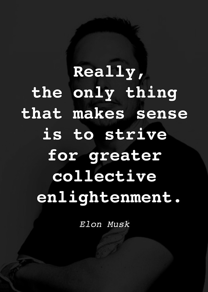 Elon Musk Quote P1D023