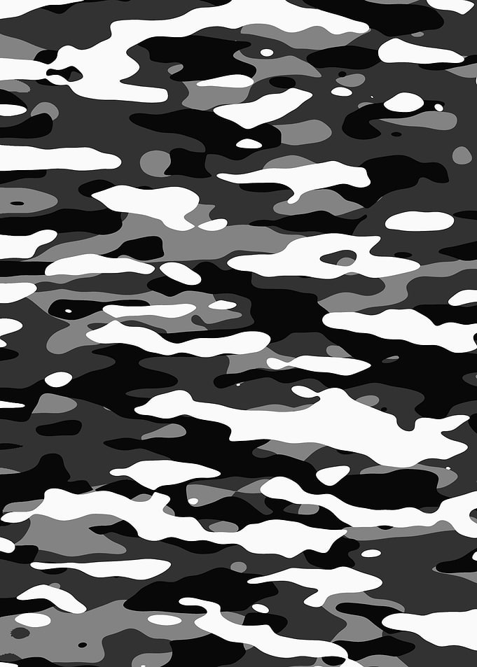 Snow Camouflage Pattern