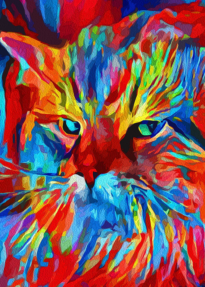 Cat eyes modernism