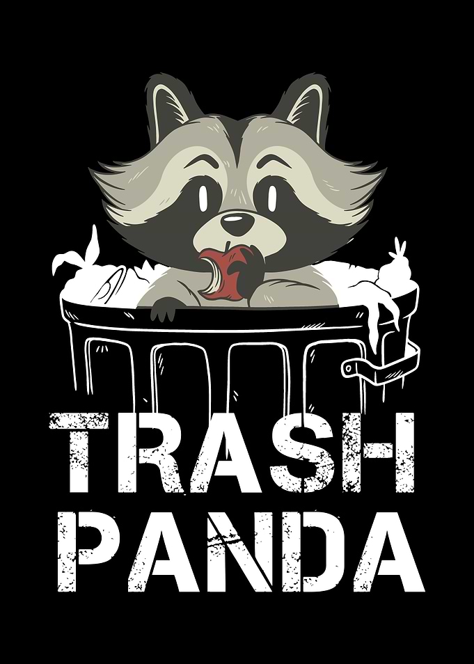 Raccoon Trash Panda Gift